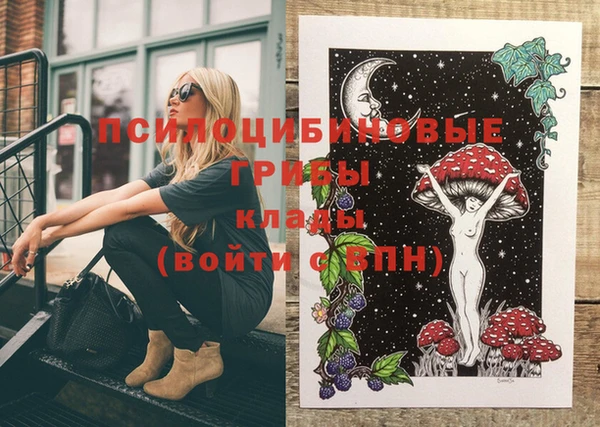 бутират Покачи