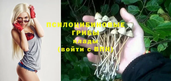 бошки Покровск