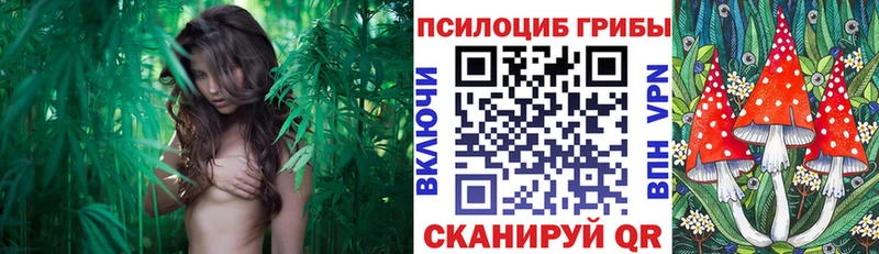 Галлюциногенные грибы Magic Shrooms  ОМГ ОМГ сайт  Покачи 